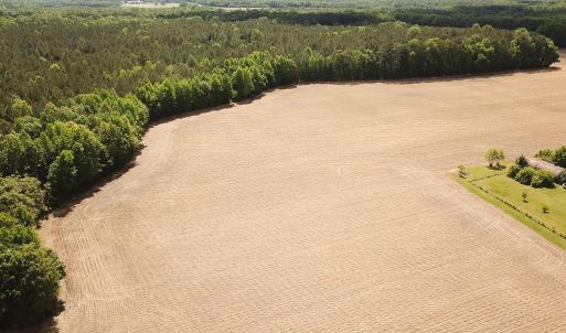 Photo #12 of Off Bobcat Ln, Franklin, VA 30.0 acres