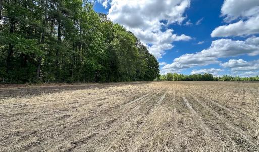 Photo #13 of Off Bobcat Ln, Franklin, VA 30.0 acres