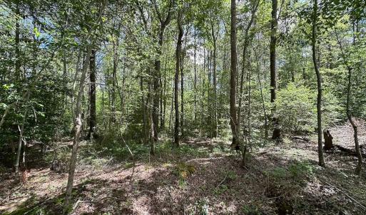 Photo #14 of Off Bobcat Ln, Franklin, VA 30.0 acres