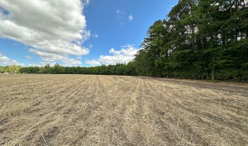 Photo #15 of Off Bobcat Ln, Franklin, VA 30.0 acres