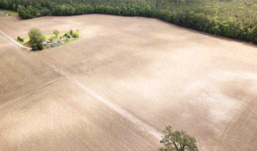 Photo #16 of Off Bobcat Ln, Franklin, VA 30.0 acres