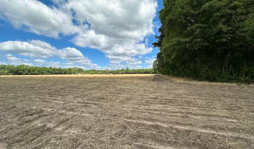 Photo #17 of Off Bobcat Ln, Franklin, VA 30.0 acres