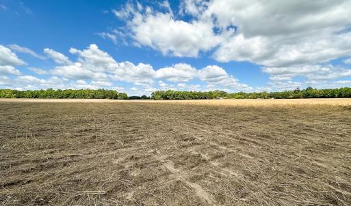 Photo #18 of Off Bobcat Ln, Franklin, VA 30.0 acres