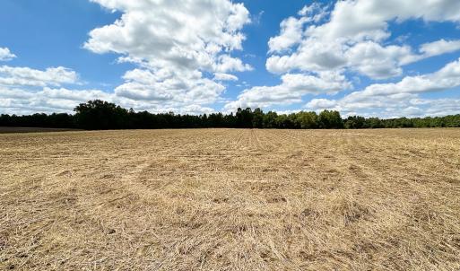 Photo #19 of Off Bobcat Ln, Franklin, VA 30.0 acres