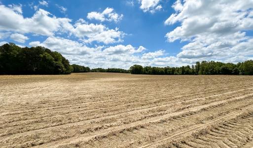 Photo #21 of Off Bobcat Ln, Franklin, VA 30.0 acres