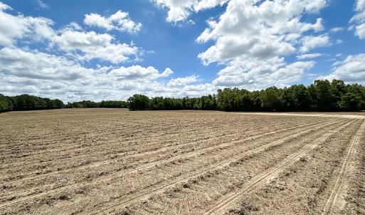 Photo #22 of Off Bobcat Ln, Franklin, VA 30.0 acres