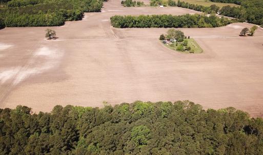 Photo #23 of Off Bobcat Ln, Franklin, VA 30.0 acres