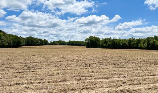 Photo #24 of Off Bobcat Ln, Franklin, VA 30.0 acres
