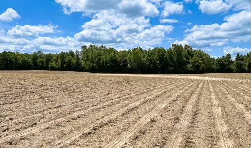 Photo #25 of Off Bobcat Ln, Franklin, VA 30.0 acres