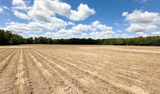 Photo #26 of Off Bobcat Ln, Franklin, VA 30.0 acres