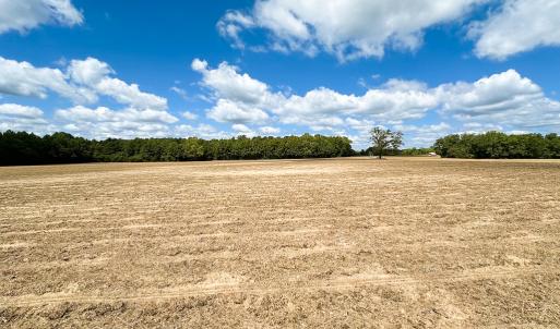 Photo #27 of Off Bobcat Ln, Franklin, VA 30.0 acres