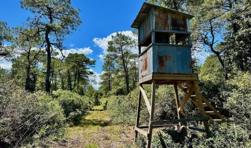 Photo #1 of SOLD property in Off Dunbar Canal Rd - Lot #44, Currituck, NC 60.0 acres