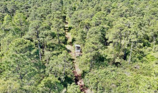 Photo #13 of SOLD property in Off Dunbar Canal Rd - Lot #44, Currituck, NC 60.0 acres