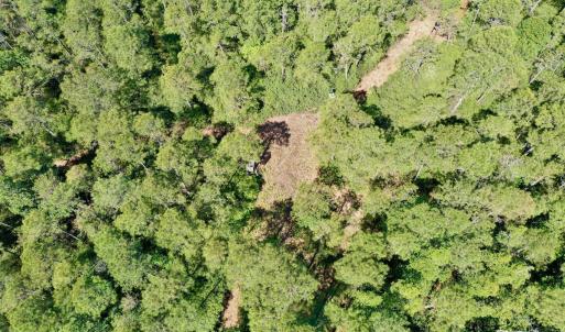 Photo #15 of SOLD property in Off Dunbar Canal Rd - Lot #44, Currituck, NC 60.0 acres