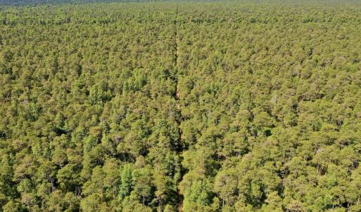 Photo #22 of SOLD property in Off Dunbar Canal Rd - Lot #44, Currituck, NC 60.0 acres