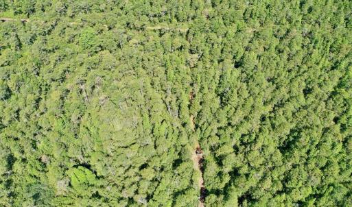 Photo #24 of SOLD property in Off Dunbar Canal Rd - Lot #44, Currituck, NC 60.0 acres
