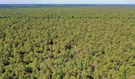 Photo #26 of SOLD property in Off Dunbar Canal Rd - Lot #44, Currituck, NC 60.0 acres