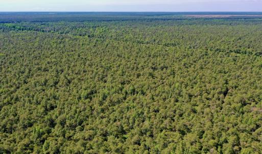 Photo #28 of SOLD property in Off Dunbar Canal Rd - Lot #44, Currituck, NC 60.0 acres