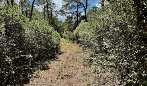 Photo #29 of SOLD property in Off Dunbar Canal Rd - Lot #44, Currituck, NC 60.0 acres