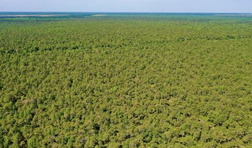 Photo #30 of SOLD property in Off Dunbar Canal Rd - Lot #44, Currituck, NC 60.0 acres