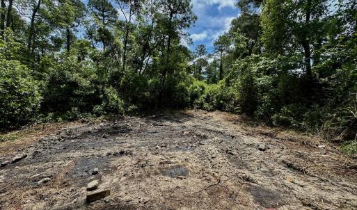 Photo #6 of SOLD property in Off Dunbar Canal Rd - Lot #44, Currituck, NC 60.0 acres
