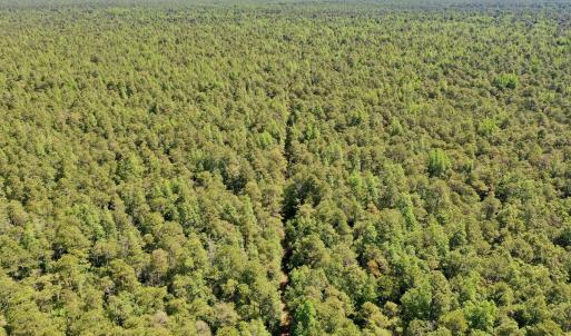 Photo #33 of SOLD property in Off Dunbar Canal Rd - Lot #44, Currituck, NC 60.0 acres