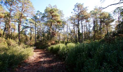 Photo #35 of SOLD property in Off Dunbar Canal Rd - Lot #44, Currituck, NC 60.0 acres