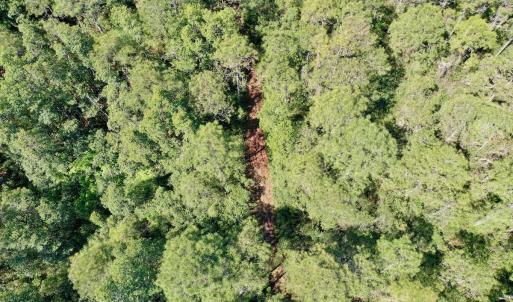 Photo #36 of SOLD property in Off Dunbar Canal Rd - Lot #44, Currituck, NC 60.0 acres
