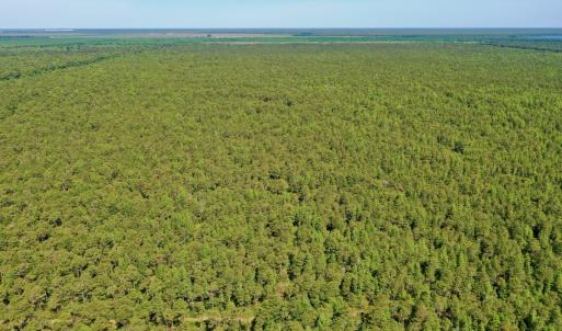 Photo #38 of SOLD property in Off Dunbar Canal Rd - Lot #44, Currituck, NC 60.0 acres