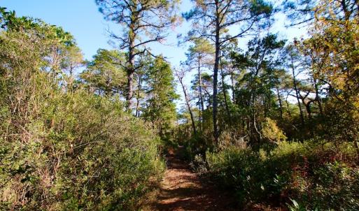Photo #39 of SOLD property in Off Dunbar Canal Rd - Lot #44, Currituck, NC 60.0 acres