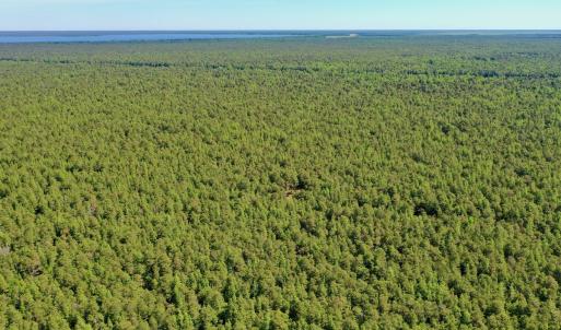 Photo #40 of SOLD property in Off Dunbar Canal Rd - Lot #44, Currituck, NC 60.0 acres