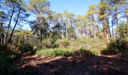 Photo #43 of SOLD property in Off Dunbar Canal Rd - Lot #44, Currituck, NC 60.0 acres