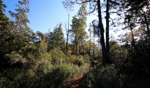 Photo #44 of SOLD property in Off Dunbar Canal Rd - Lot #44, Currituck, NC 60.0 acres