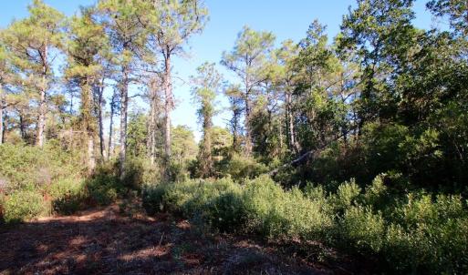 Photo #46 of SOLD property in Off Dunbar Canal Rd - Lot #44, Currituck, NC 60.0 acres