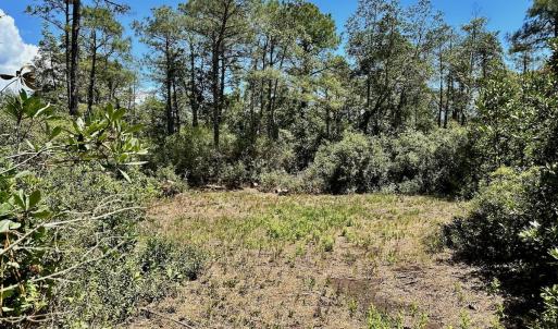 Photo #56 of SOLD property in Off Dunbar Canal Rd - Lot #44, Currituck, NC 60.0 acres