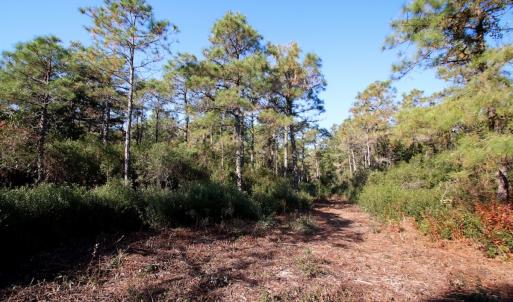 Photo #58 of SOLD property in Off Dunbar Canal Rd - Lot #44, Currituck, NC 60.0 acres