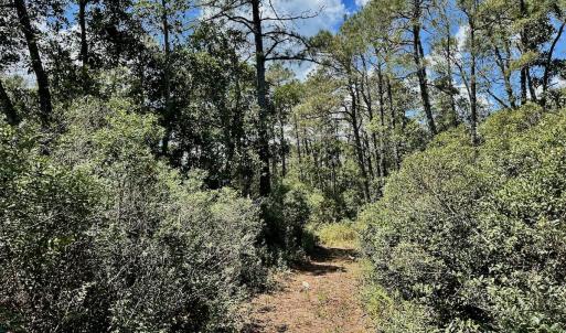 Photo #62 of SOLD property in Off Dunbar Canal Rd - Lot #44, Currituck, NC 60.0 acres