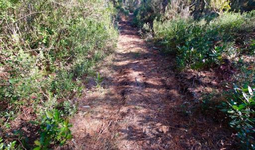 Photo #66 of SOLD property in Off Dunbar Canal Rd - Lot #44, Currituck, NC 60.0 acres
