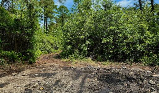 Photo #70 of SOLD property in Off Dunbar Canal Rd - Lot #44, Currituck, NC 60.0 acres