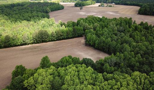 Photo #2 of SOLD property in Off Bobcat Ln, Franklin, VA 55.0 acres