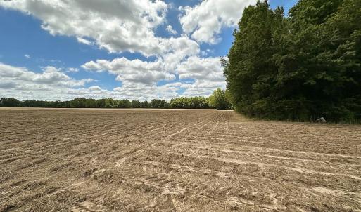 Photo #3 of SOLD property in Off Bobcat Ln, Franklin, VA 55.0 acres