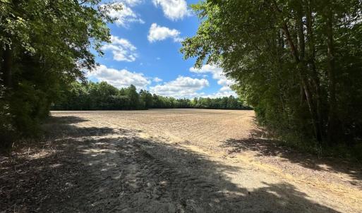 Photo #5 of SOLD property in Off Bobcat Ln, Franklin, VA 55.0 acres