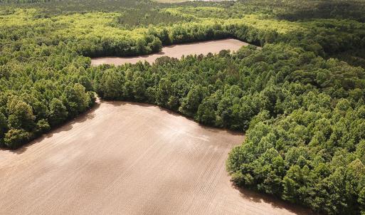 Photo #6 of SOLD property in Off Bobcat Ln, Franklin, VA 55.0 acres