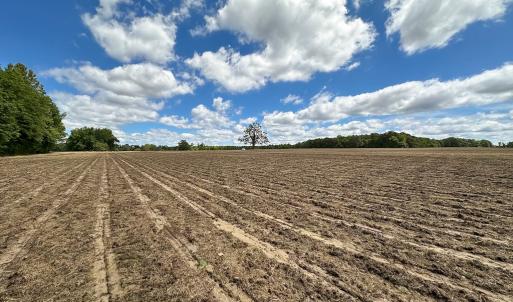 Photo #7 of SOLD property in Off Bobcat Ln, Franklin, VA 55.0 acres