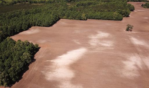 Photo #8 of SOLD property in Off Bobcat Ln, Franklin, VA 55.0 acres