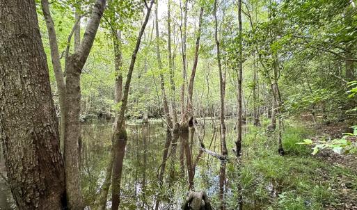 Photo #9 of SOLD property in Off Bobcat Ln, Franklin, VA 55.0 acres