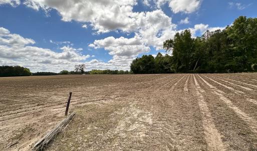 Photo #10 of SOLD property in Off Bobcat Ln, Franklin, VA 55.0 acres