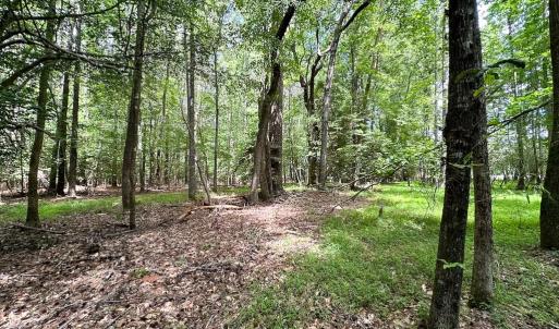 Photo #12 of SOLD property in Off Bobcat Ln, Franklin, VA 55.0 acres