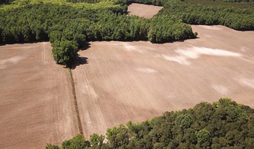 Photo #14 of SOLD property in Off Bobcat Ln, Franklin, VA 55.0 acres