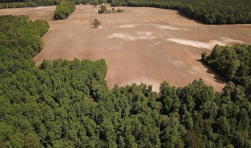 Photo #20 of SOLD property in Off Bobcat Ln, Franklin, VA 55.0 acres